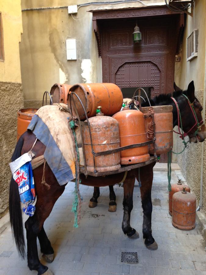 Riad Blanc De Фес Екстериор снимка